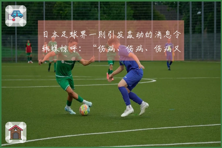 日本足球界一则引发轰动的消息令韩媒惊呼：“伤病、伤病、伤病又来了！”