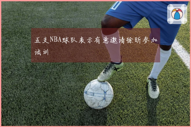 五支NBA球队表示有意邀请徐昕参加试训